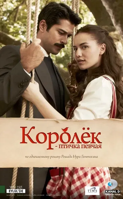 Постер Королёк – птичка певчаяÇ